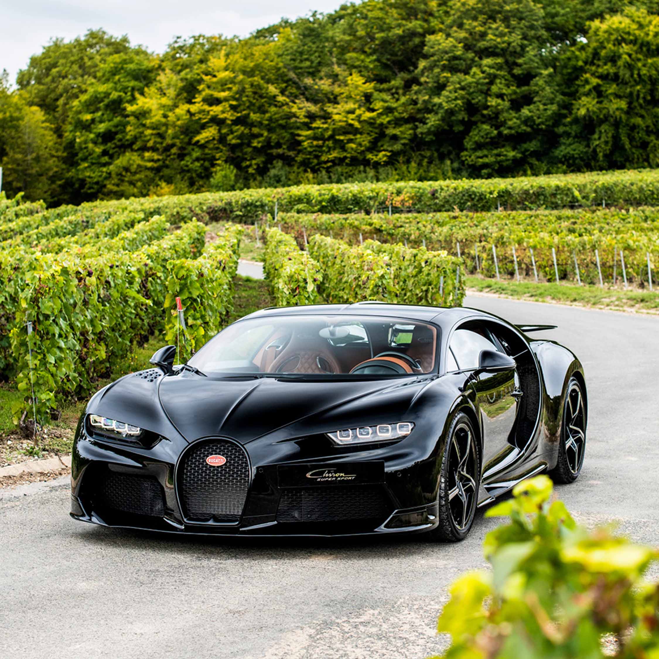 BUGATTI CHAMPAGNE CARBON EB02 - Image 6